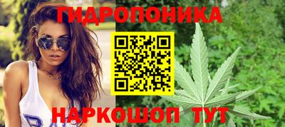 сатива Краснознаменск