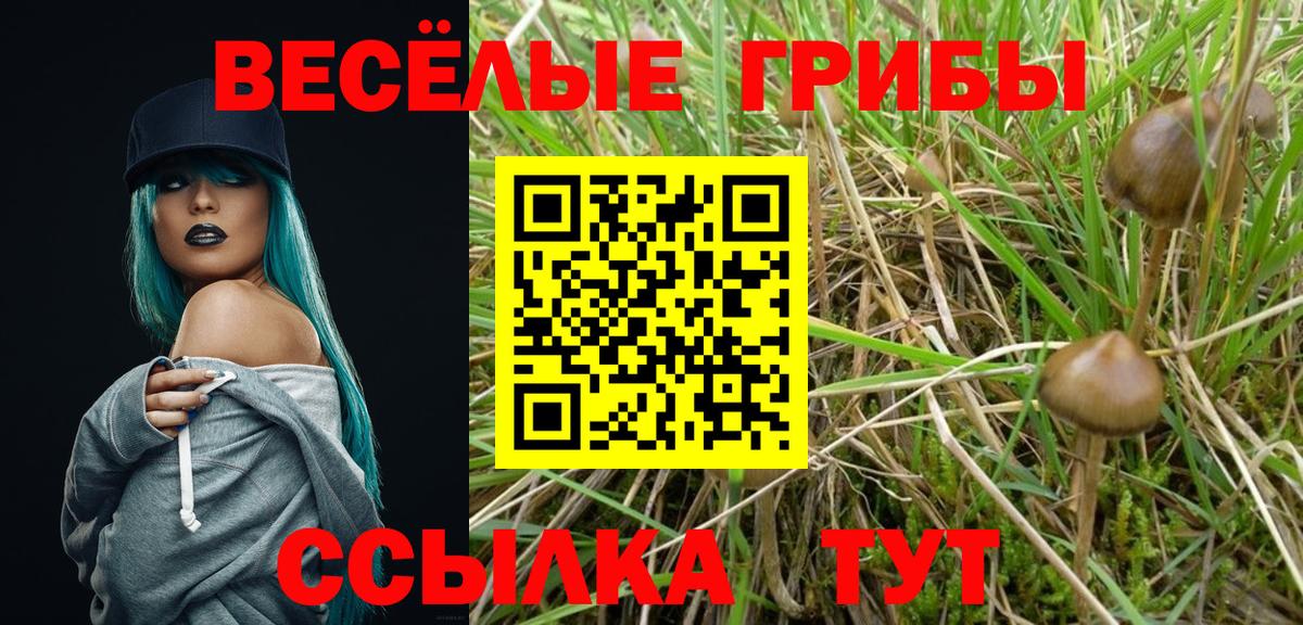 Галлюциногенные грибы прущие грибы Усть-Джегута