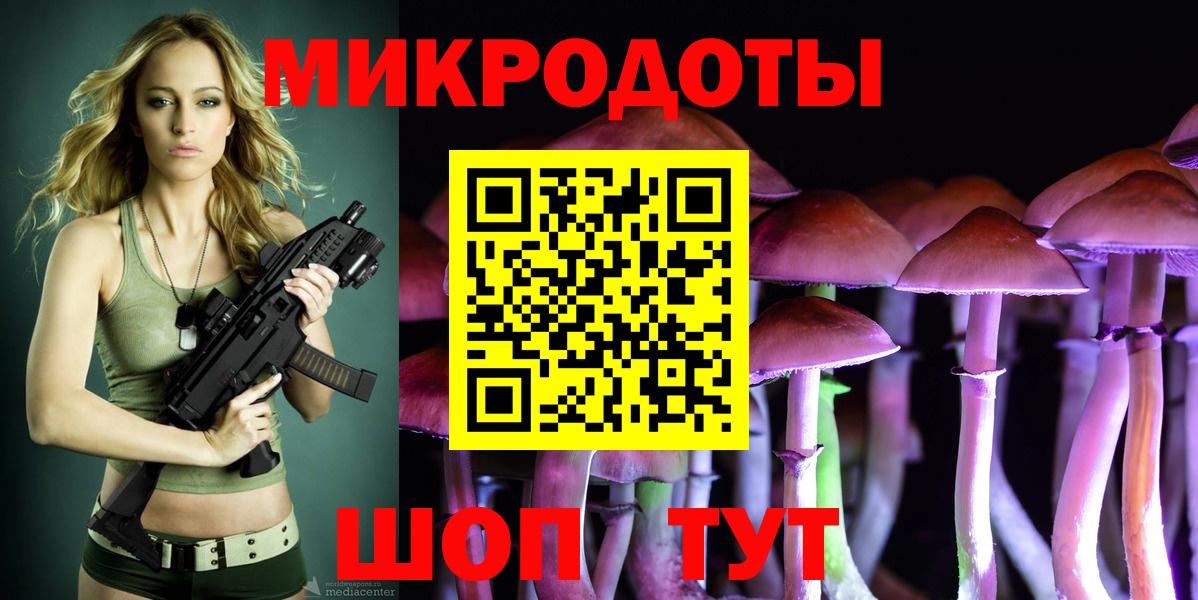 Усть-Джегута  Псилоцибиновые грибы Psilocybine cubensis  Вход с VPN 