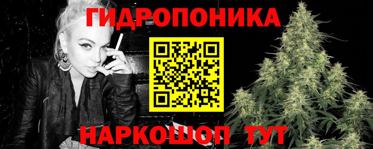 Шишки марихуана индика  Конопля Bruce Banner  Усть-Джегута  Вход с VPN 
